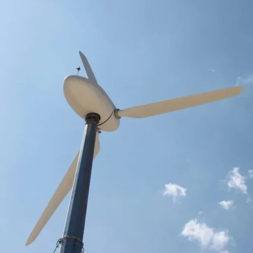 cropped-IMG_0508-OPT